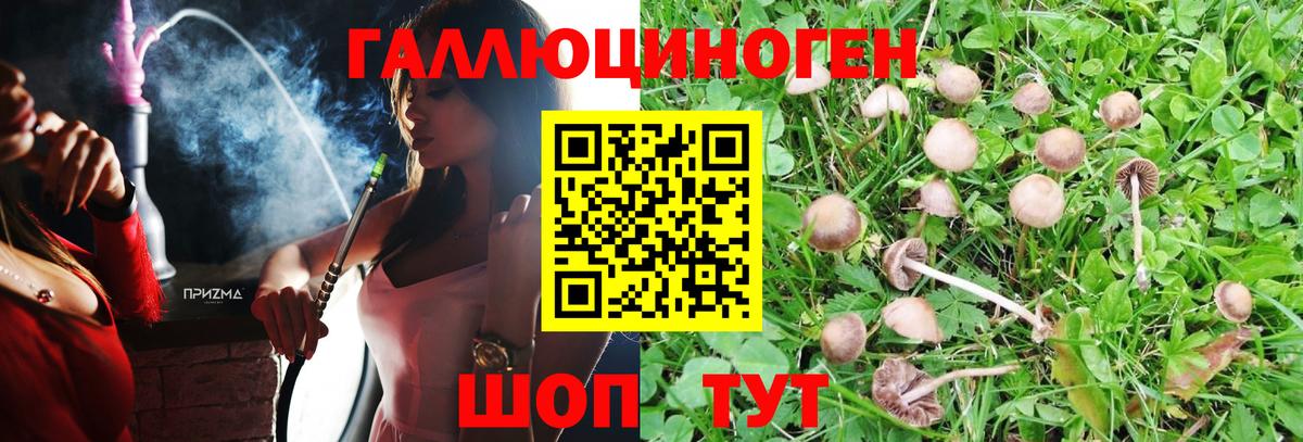 Семёнов  Псилоцибиновые грибы прущие грибы  Вход с VPN 
