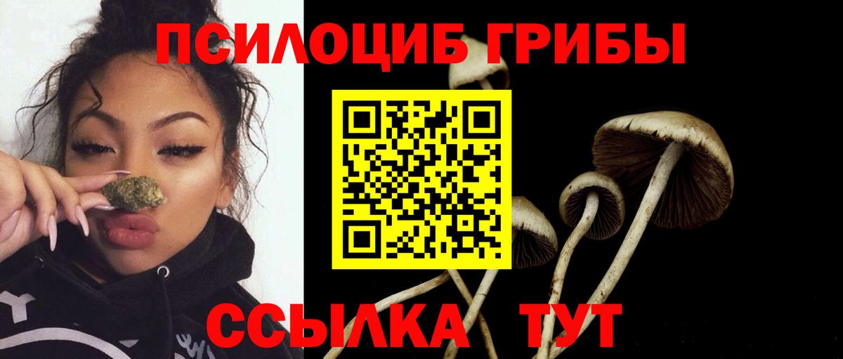 Псилоцибиновые грибы Psilocybe Семёнов